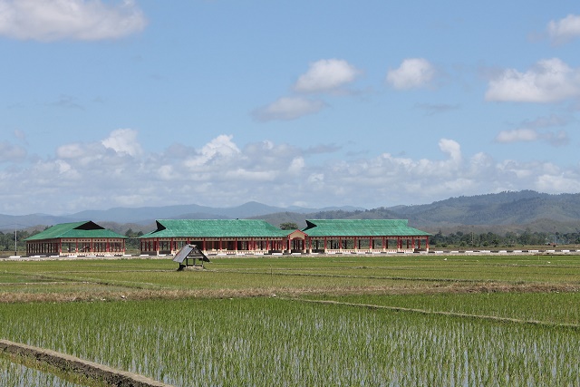 The rice fields Jokowi visited in May 2015 The rice fields Jokowi visited in May 2015